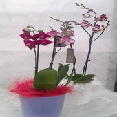 rsz_12012013210