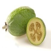 rsz_250px-feijoa
