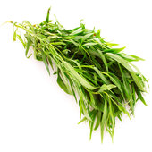 rsz_Artemisia_Dracunculus