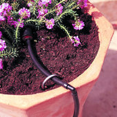rsz_drip-watering-plants