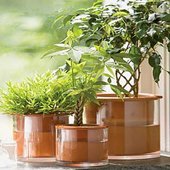 rsz_potisma_2