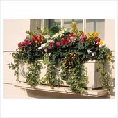 rsz_window_boxes