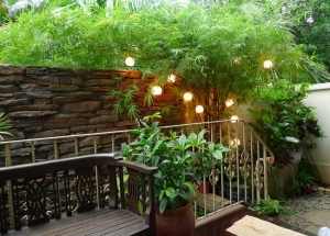 bamboo garden