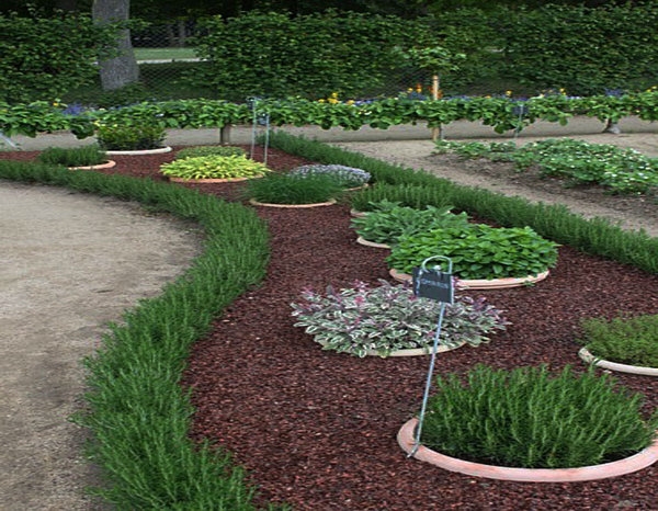 small garden