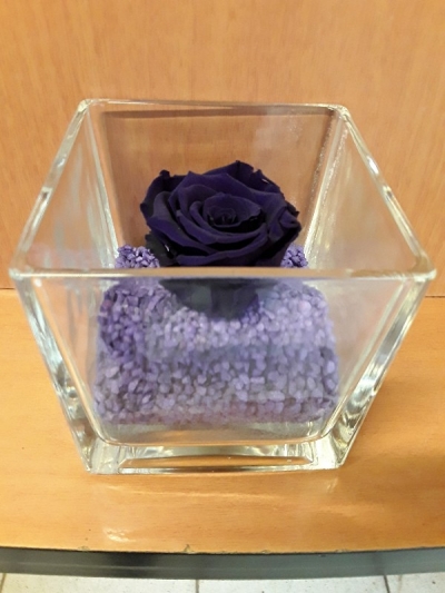 For ever roses