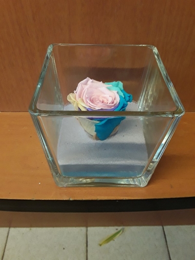 For ever roses