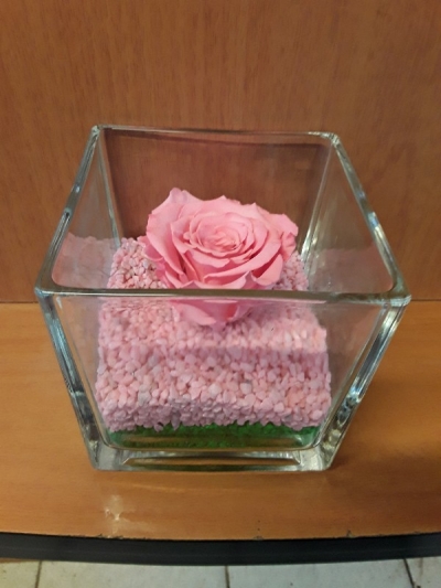 For ever roses