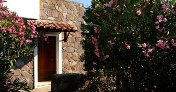&Kappa;&omicron;&pi;ή &delta;έ&nu;&tau;&rho;&omega;&nu;:&sigma;&omega;&sigma;&tau;ή &kappa;&alpha;&iota; &lambda;ά&theta;&omicron;&sigmaf; &mu;έ&theta;&omicron;&delta;&omicron;&sigmaf;